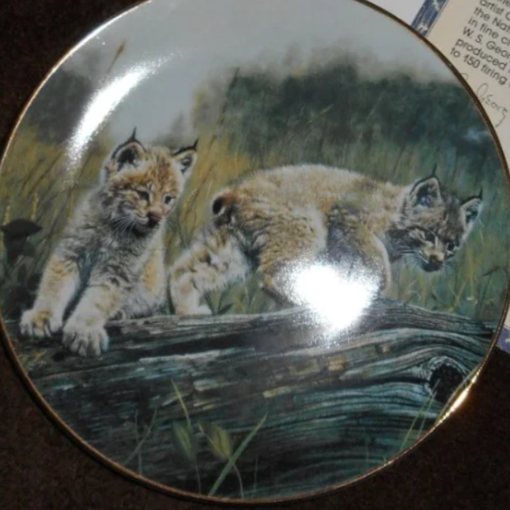 W S George Fine China collectible plate. DOUBLE TROUBLE